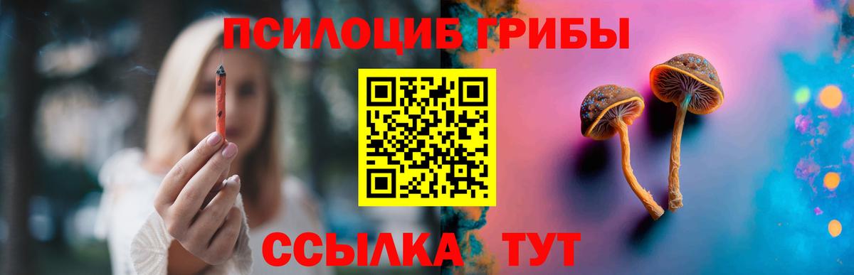 Псилоцибиновые грибы GOLDEN TEACHER Лабытнанги